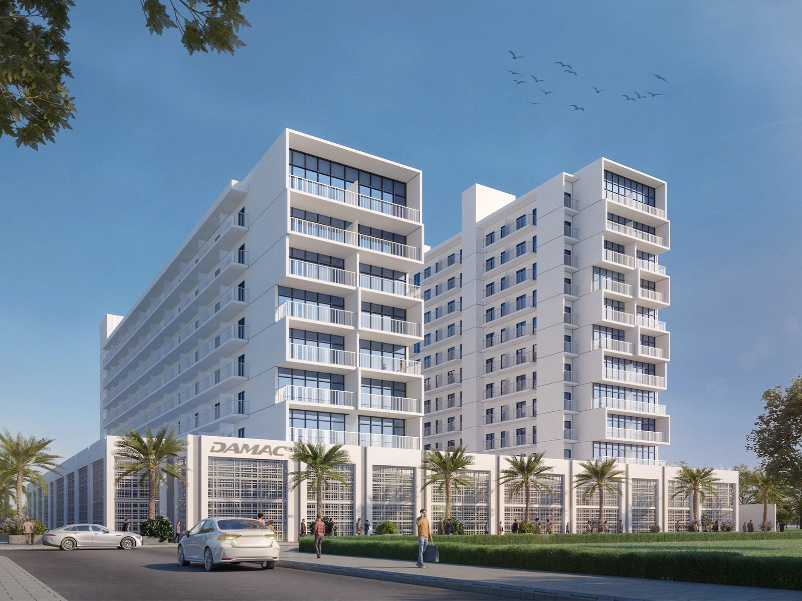 Evergreens-Gallery-00